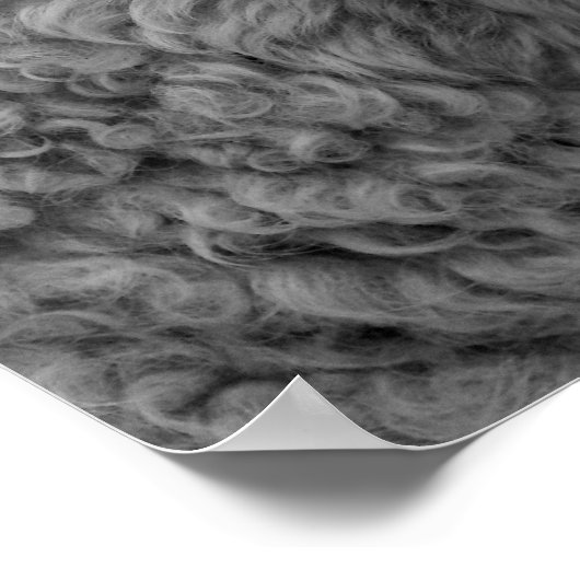 Foto für Schafe Kinderzimmer Kinderzimmer Poster (Ecke)