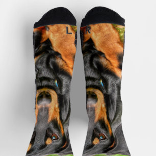Foto für Schwarz-Tan-Dackel Socken