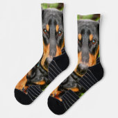 Foto für Schwarz-Tan-Dackel Socken (Links)