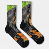 Foto für Schwarz-Tan-Dackel Socken (Rechts)
