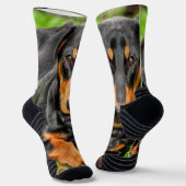 Foto für Schwarz-Tan-Dackel Socken (Gewinkelt)