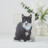 Foto für Schwarz und Weiß Postkarte (Stehend Vorderseite)