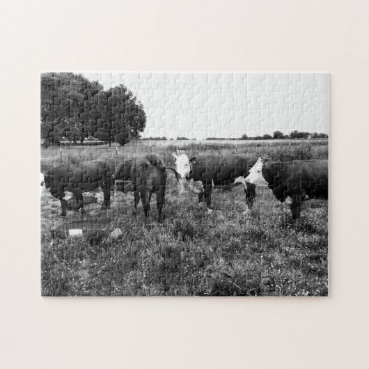 Foto für Schwarze und Weiße Rinder Puzzle (Horizontal)