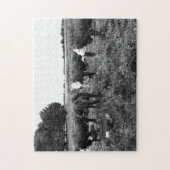 Foto für Schwarze und Weiße Rinder Puzzle (Vertikal)