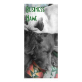 Foto für Tierpflege Werbekarte (Vorne)