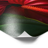 Foto für tropische Blume (Ecke)
