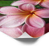 Foto für tropische Blume (Ecke)