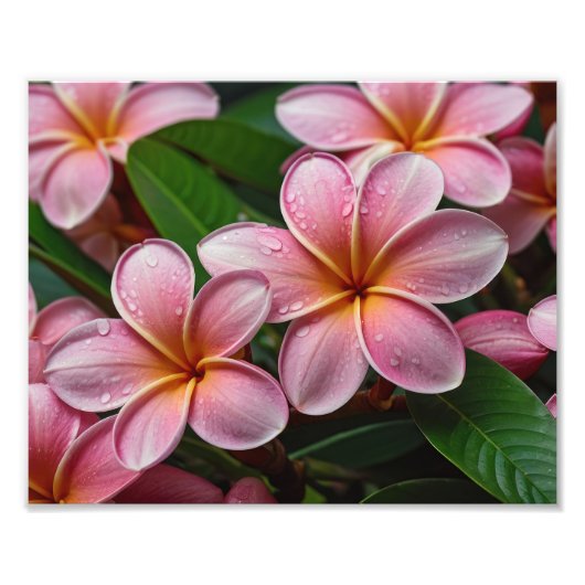Foto für tropische Blume (Vorne)