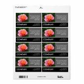 Foto für Unternehmen - Rosa Rose (Vorne)