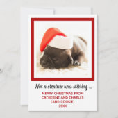 Foto für Welpen Feiertagskarte (Vorderseite)