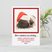 Foto für Welpen Feiertagskarte (Stehend Vorderseite)