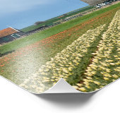 Foto für Windmühle und Tulpen (Ecke)