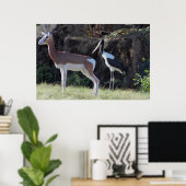 Foto Gazelle und Stork Poster (Heimbüro)