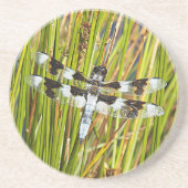 Foto Getränkeuntersetzer (Vorne)