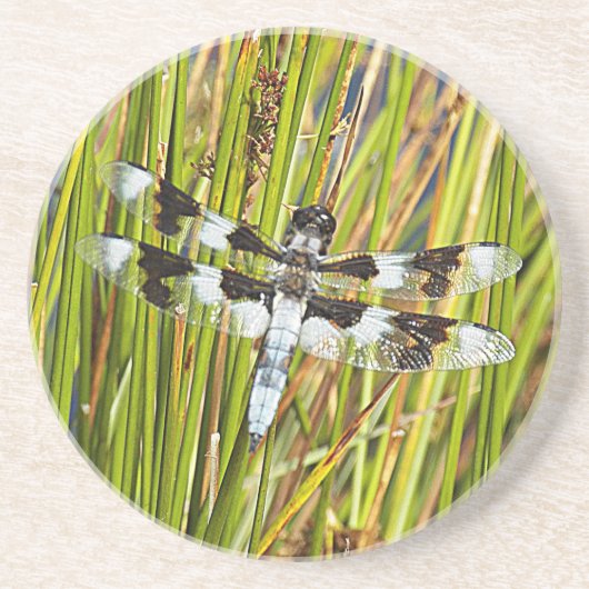 Foto Getränkeuntersetzer (Vorne)