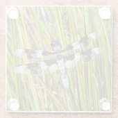 Foto Glasuntersetzer (Rückseite)