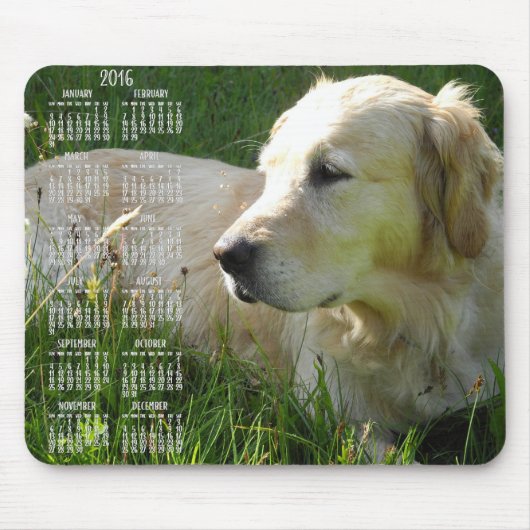 Foto Golden Retriever Calendar 2016 Mauspads (Vorne)