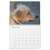 Foto Golden Retriever Calendar 2023 Kalender (Jan 2027)