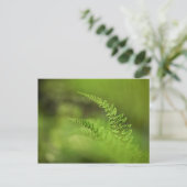Foto "Grüne Natur" Postkarte (Stehend Vorderseite)