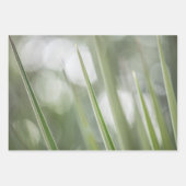 Foto "Grüne Pflanze" Geschenkpapier Set (Vorderseite)