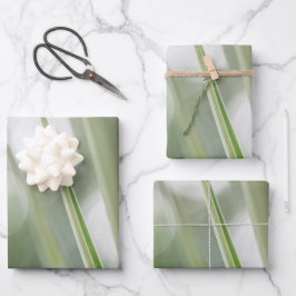 Foto "Grüne Pflanze" Geschenkpapier Set
