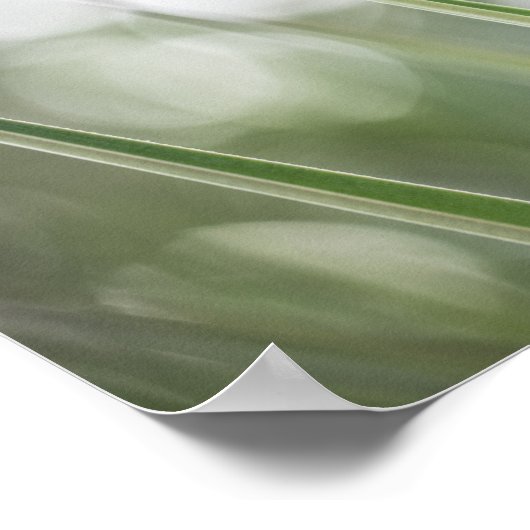 Foto "Grüne Pflanze" Poster (Ecke)