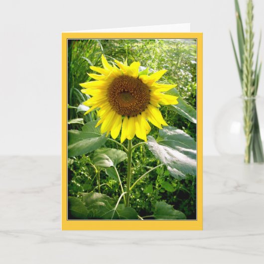 Foto-Grußkarte für Sonnenblumen Karte (Vorderseite)