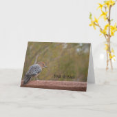 Foto-Grußkarte Woodpecker Karte (Gelbe Blume)