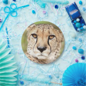 Foto Guepard, Katze Pappteller (Party)