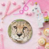 Foto Guepard, Katze Pappteller (Party)