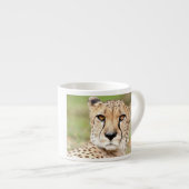Foto Guepard , Katze , Tiere , Espressotasse (Vorderseite Rechts)