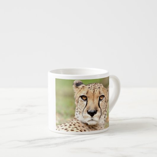 Foto Guepard , Katze , Tiere , Espressotasse (Vorderseite Rechts)