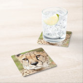 Foto Guepard , Katze , Tiere . Rechteckiger Pappuntersetzer (Vor Ort)