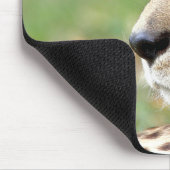 Foto Guepard Katzentiere. Mousepad (Ecke)