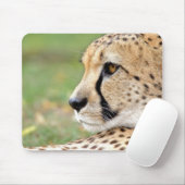 Foto Guepard Katzentiere. Mousepad (Mit Mouse)