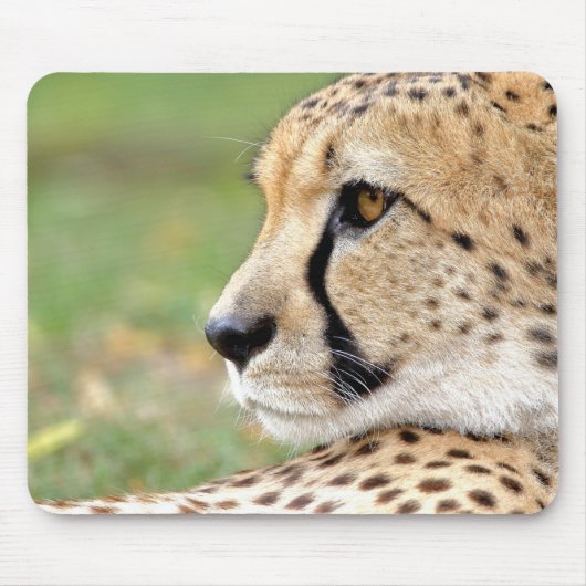 Foto Guepard Katzentiere. Mousepad (Vorne)