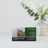 Foto - Gute Morgentaube Visitenkarte (Stehend Vorderseite)