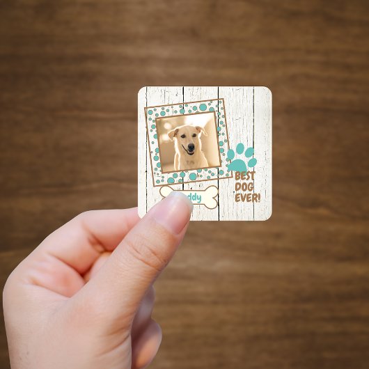 Foto-Handbuch für Haustiere Quadratischer Aufkleber