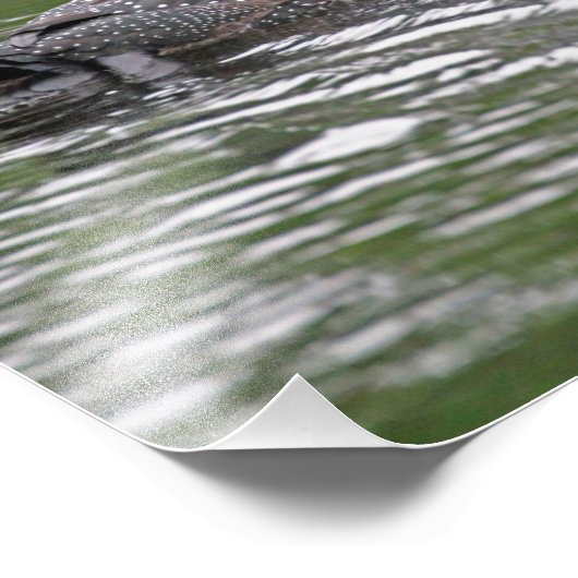 Foto "Häufig" (Ecke)