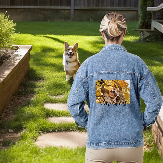 Foto Haustier Katze Jeansjacke