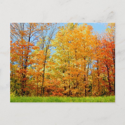 Foto Herbst 2004 Postkarte (Vorderseite)