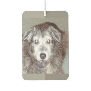 Foto Herzform personalisieren Autolufterfrischer