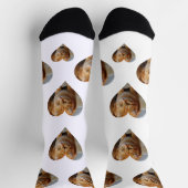 Foto Herzklopfen Katze Socken (Oben)
