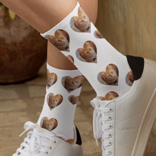 Foto Herzklopfen Katze Socken