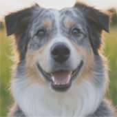 Foto hinzufügen Anpassen Aufkleber (Vorderseite)