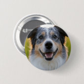 Foto hinzufügen Anpassen Button (Vorne & Hinten)
