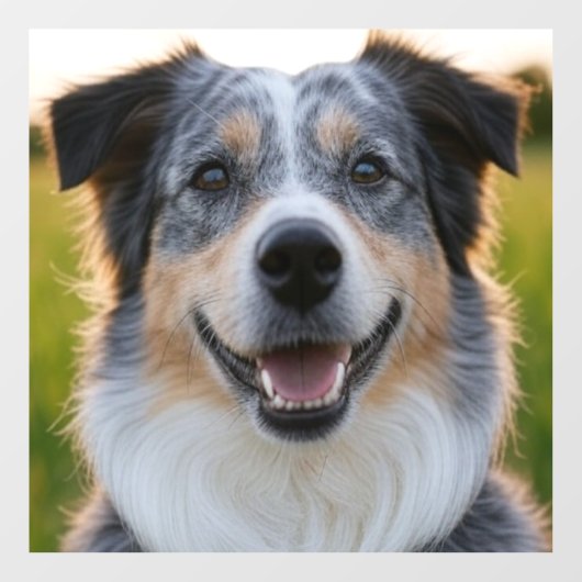 Foto hinzufügen Anpassen Fensteraufkleber (Blatt)