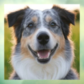 Foto hinzufügen Anpassen Fensteraufkleber (Blatt 3)