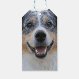 Foto hinzufügen Anpassen Geschenkanhänger