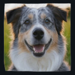 Foto hinzufügen Anpassen Halstuch<br><div class="desc">Pet-Foto anpassen,  Pet-Foto hinzufügen,  Dog-Foto hinzufügen,  Haustiere,  Haustiere,  Hunde,  personalisieren,  anpassen,  Foto,  generativekonzente Inhalte</div>